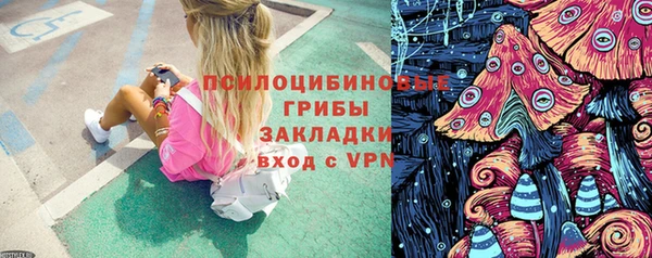 крисы Алексеевка