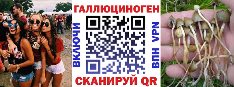 Галлюциногенные грибы прущие грибы  Камень-на-Оби 
