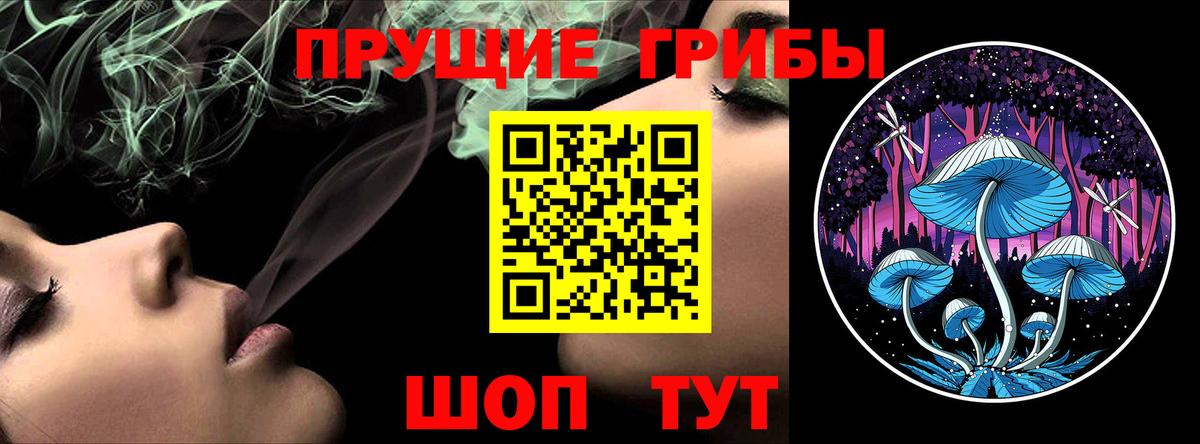 Камень-на-Оби  Псилоцибиновые грибы Magic Shrooms  Вход с VPN  Галлюциногенные грибы ЛСД 