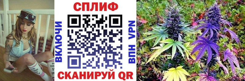 гидра tor  Камень-на-Оби  МАРИХУАНА VHQ 